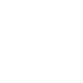 Dahua Dahua