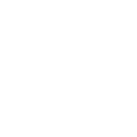 Flir Flir