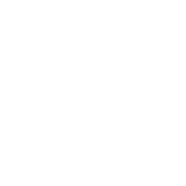 Fortinet Fortinet