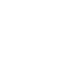 Grandstream Grandstream