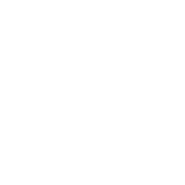 Ring Ring
